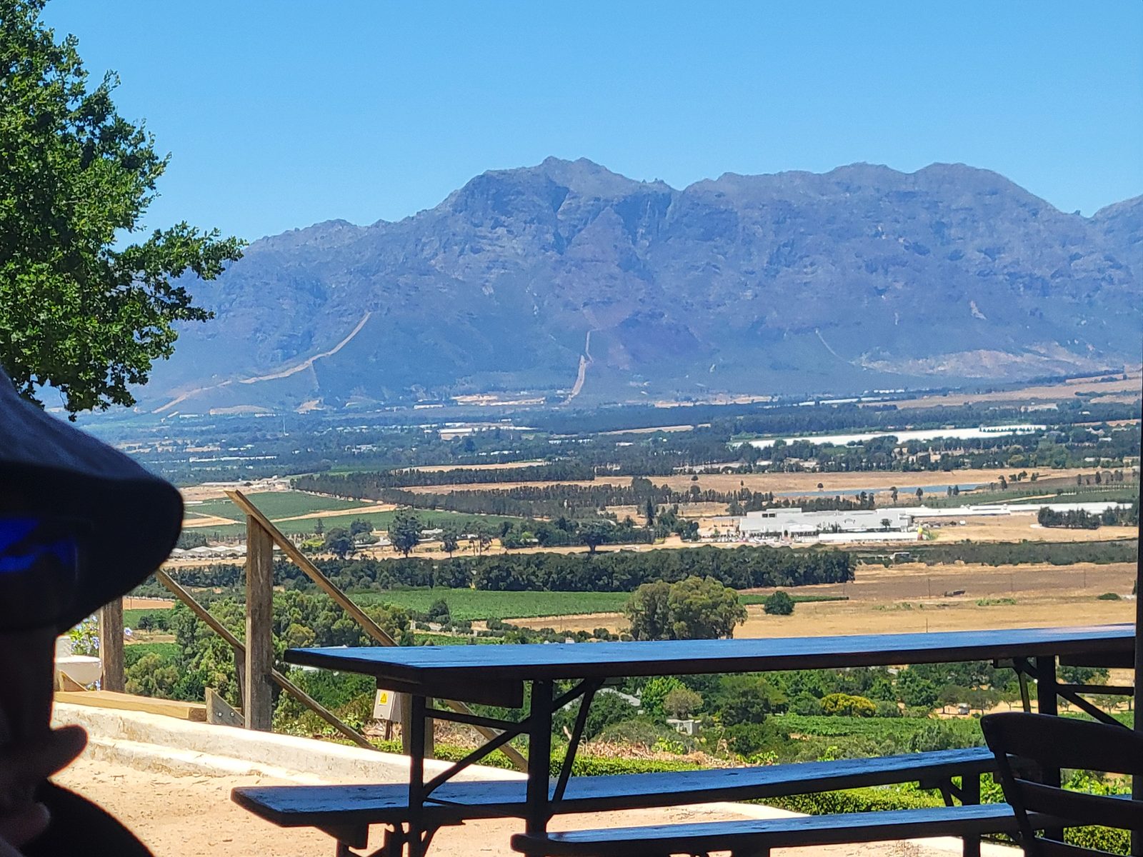 Karoo safari